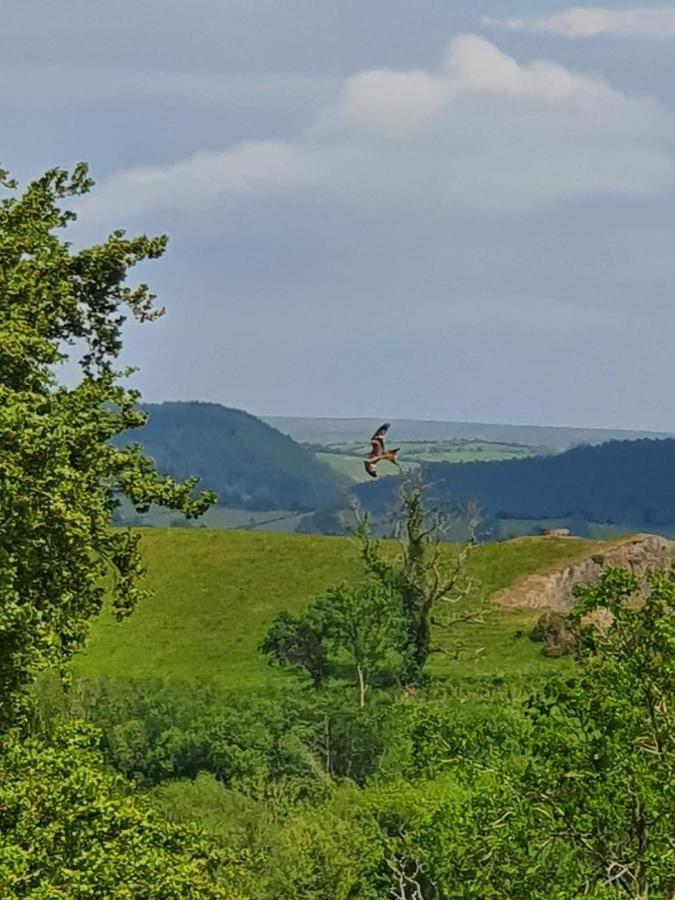 Calon Y Goedwig Glamping Hotel Llandovery Luaran gambar