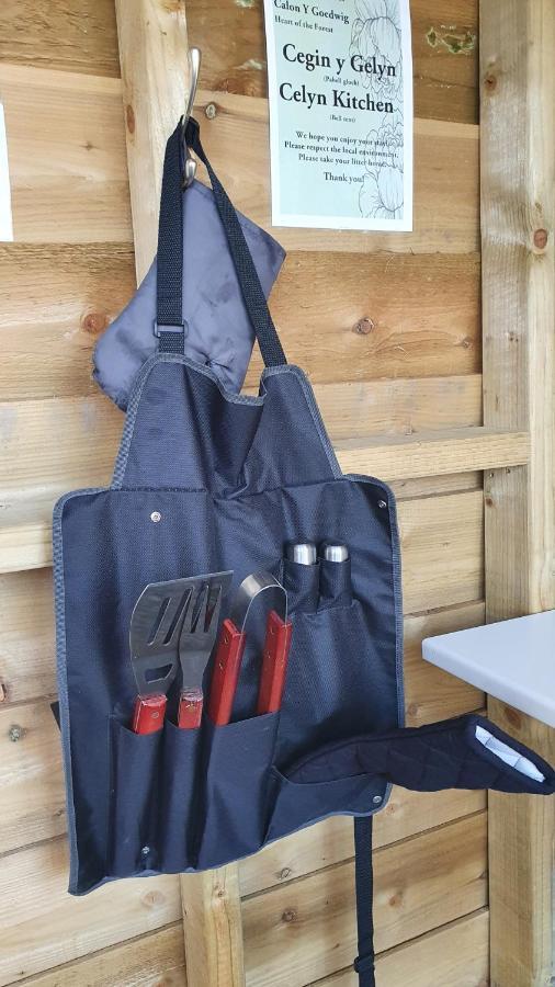 Calon Y Goedwig Glamping Hotel Llandovery Luaran gambar