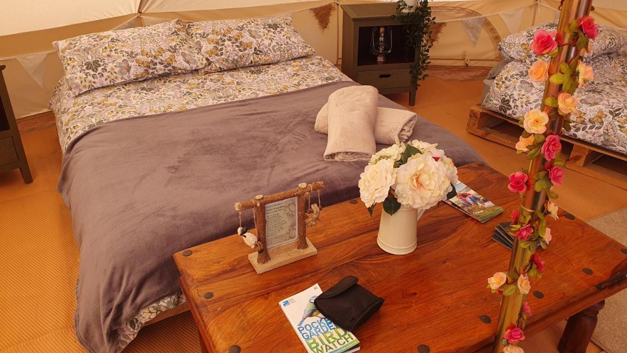 Calon Y Goedwig Glamping Hotel Llandovery Luaran gambar