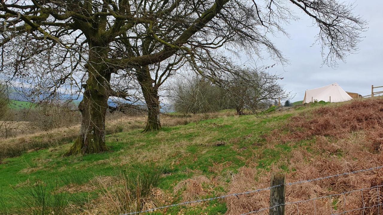 Calon Y Goedwig Glamping Hotel Llandovery Luaran gambar