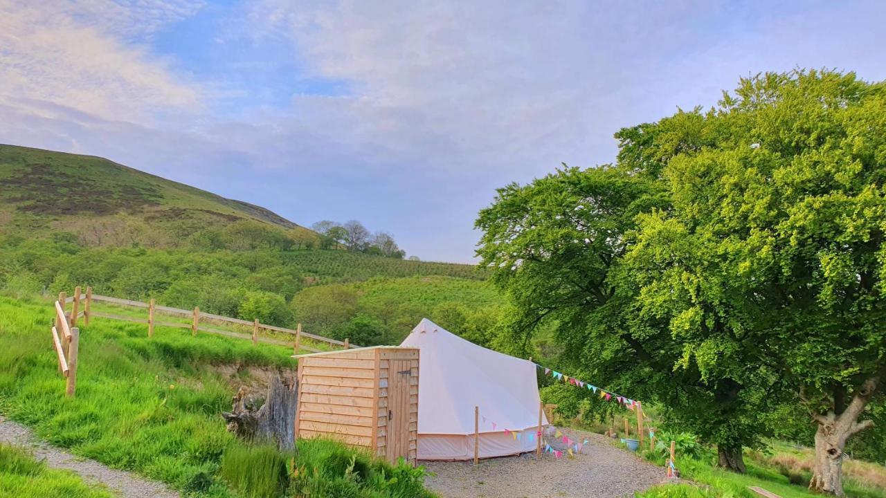 Calon Y Goedwig Glamping Hotel Llandovery Luaran gambar
