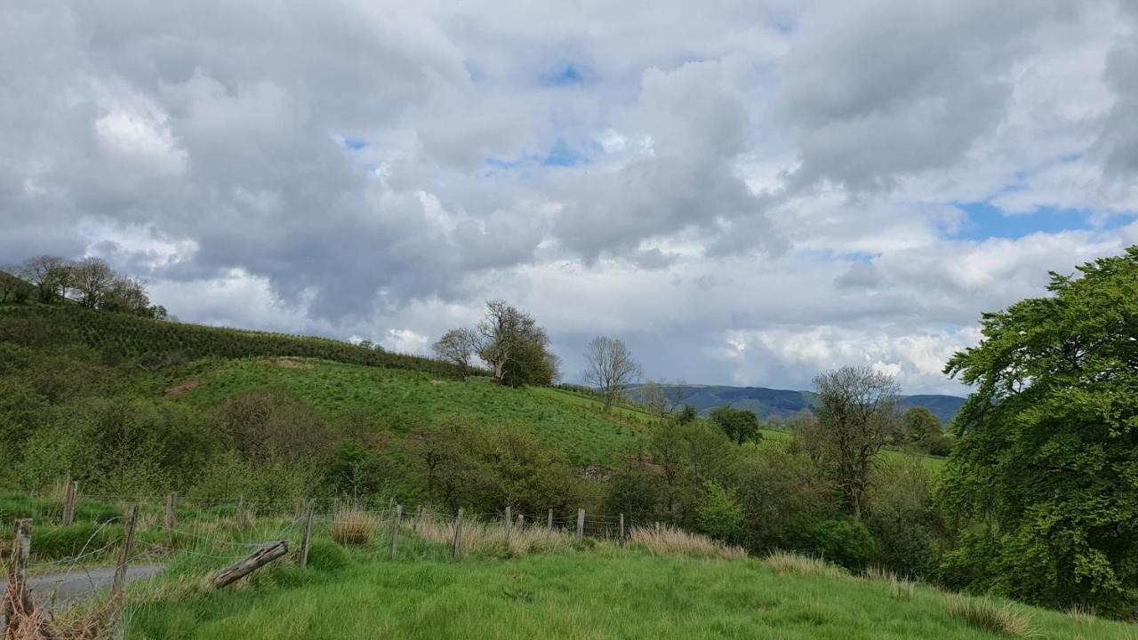 Calon Y Goedwig Glamping Hotel Llandovery Luaran gambar