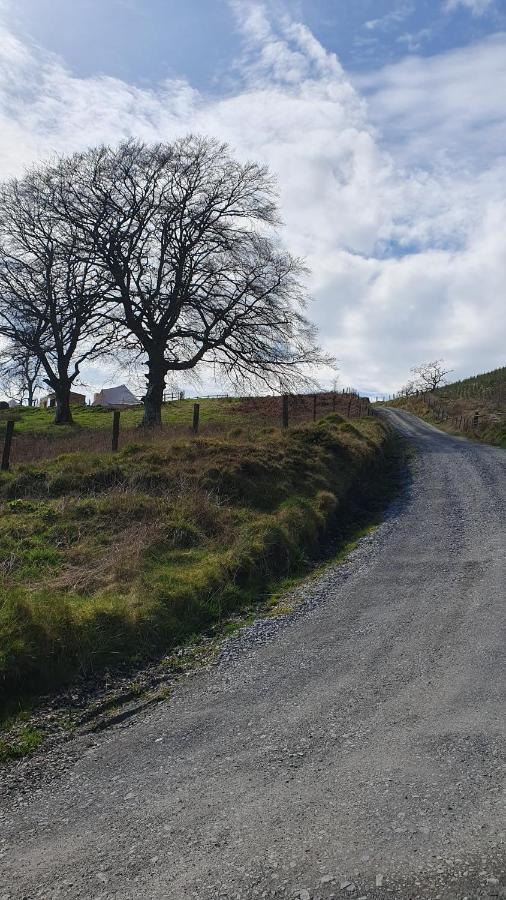 Calon Y Goedwig Glamping Hotel Llandovery Luaran gambar