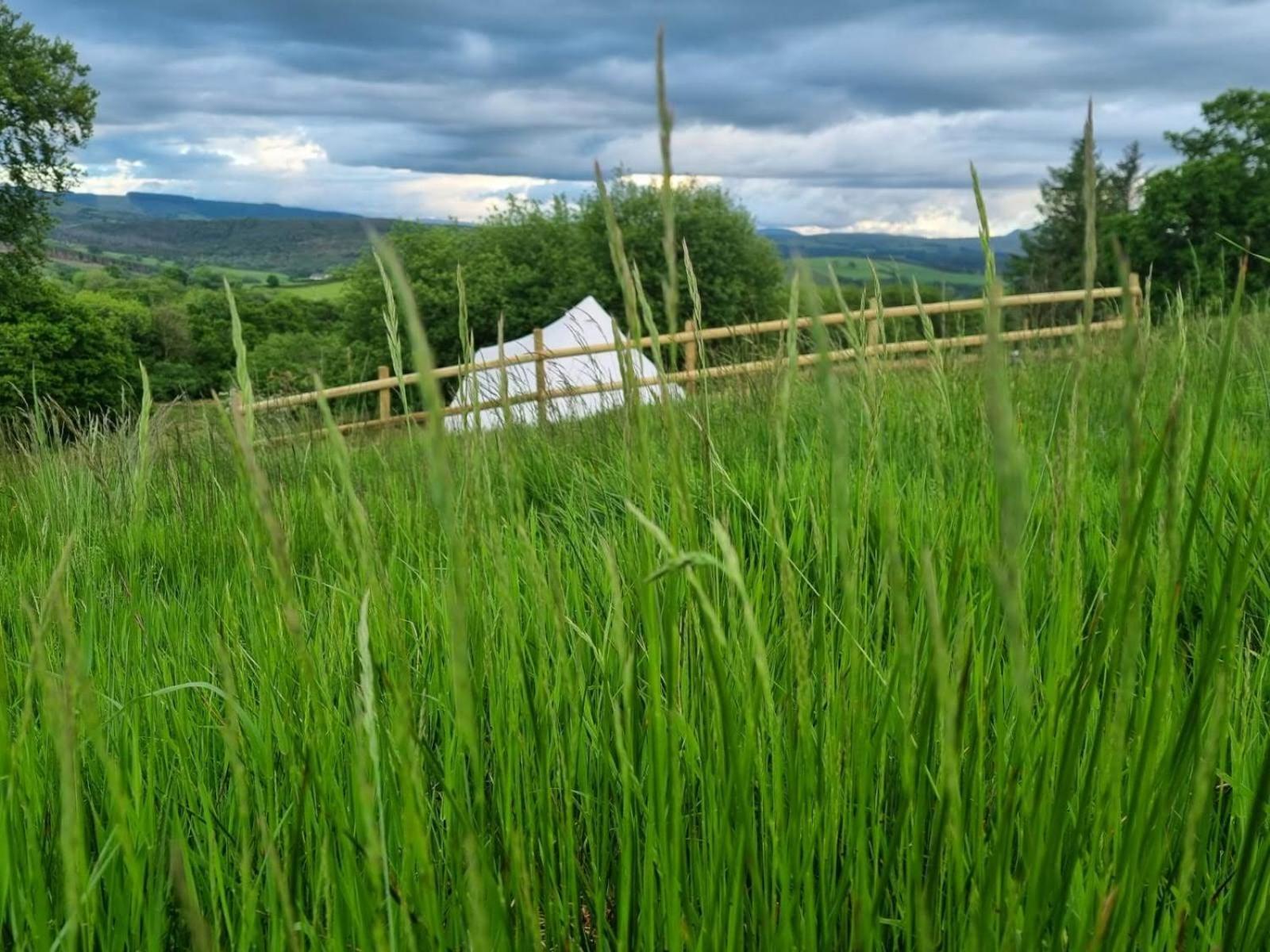 Calon Y Goedwig Glamping Hotel Llandovery Luaran gambar